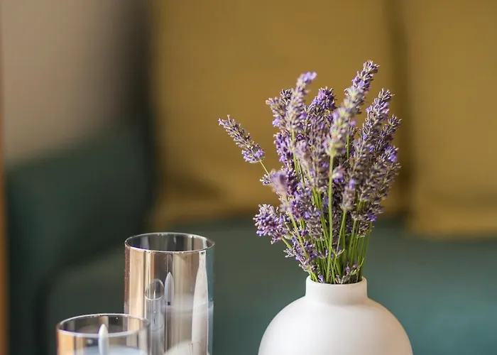 Apartament Pipacs Es Buborek *